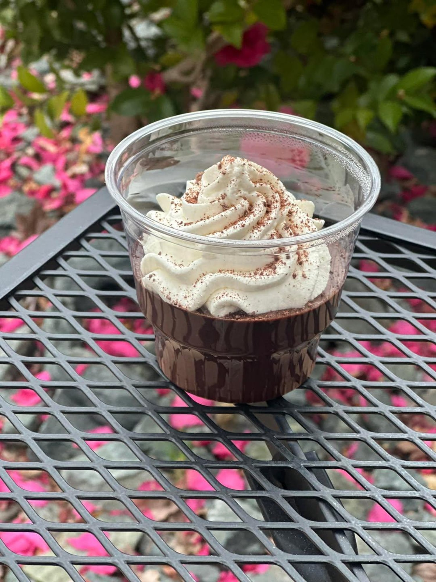 Chocolate Budino
