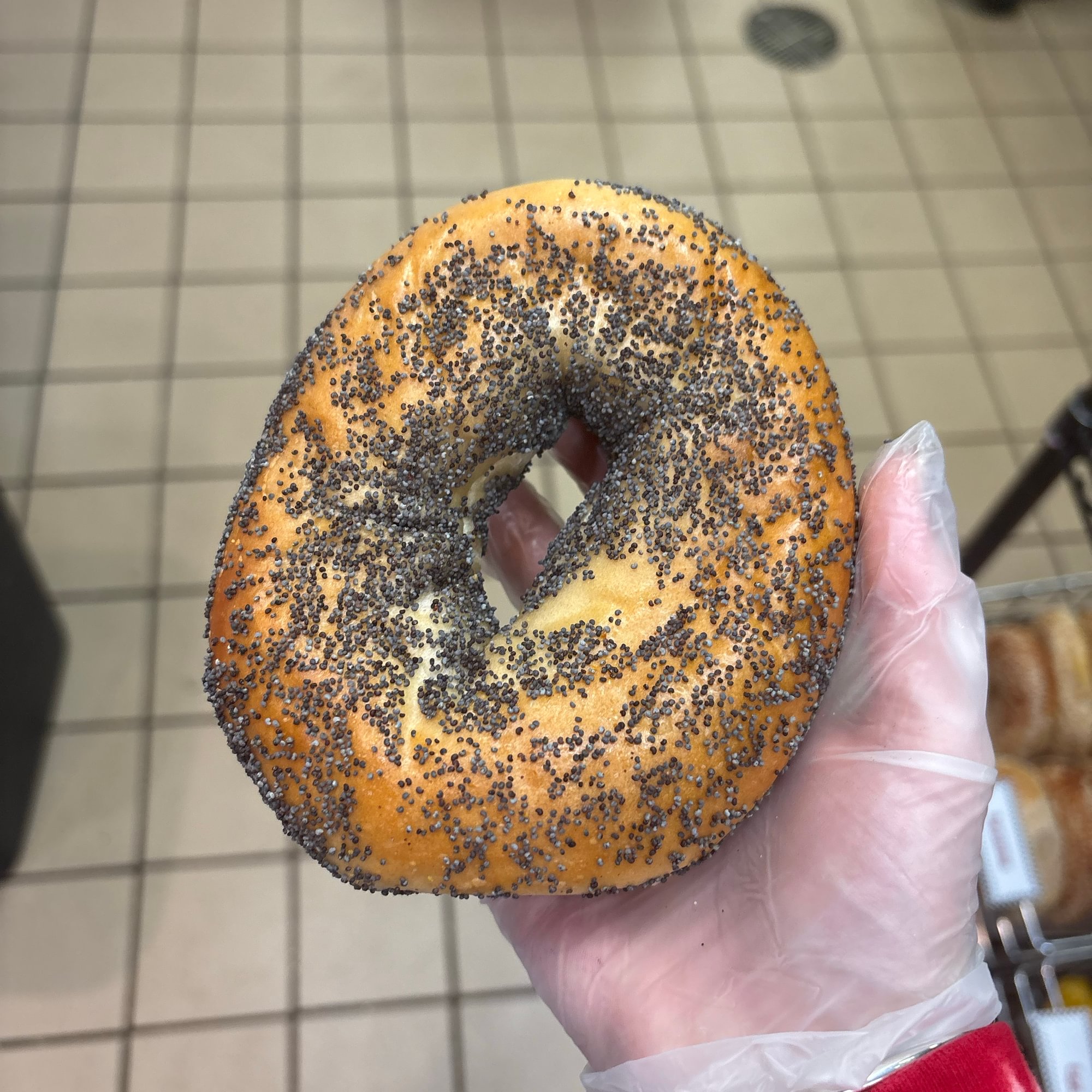 Poppy Bagel