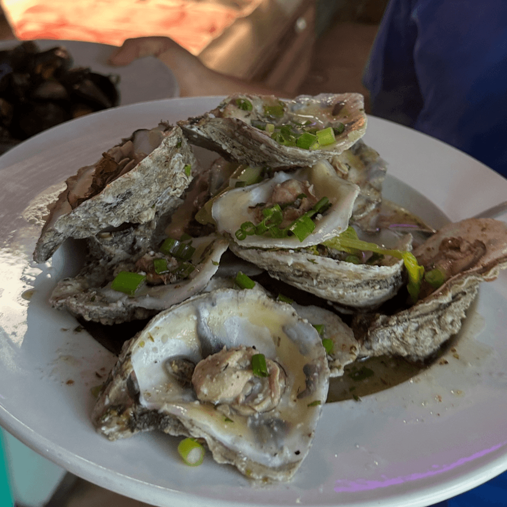 Steamed Oysters