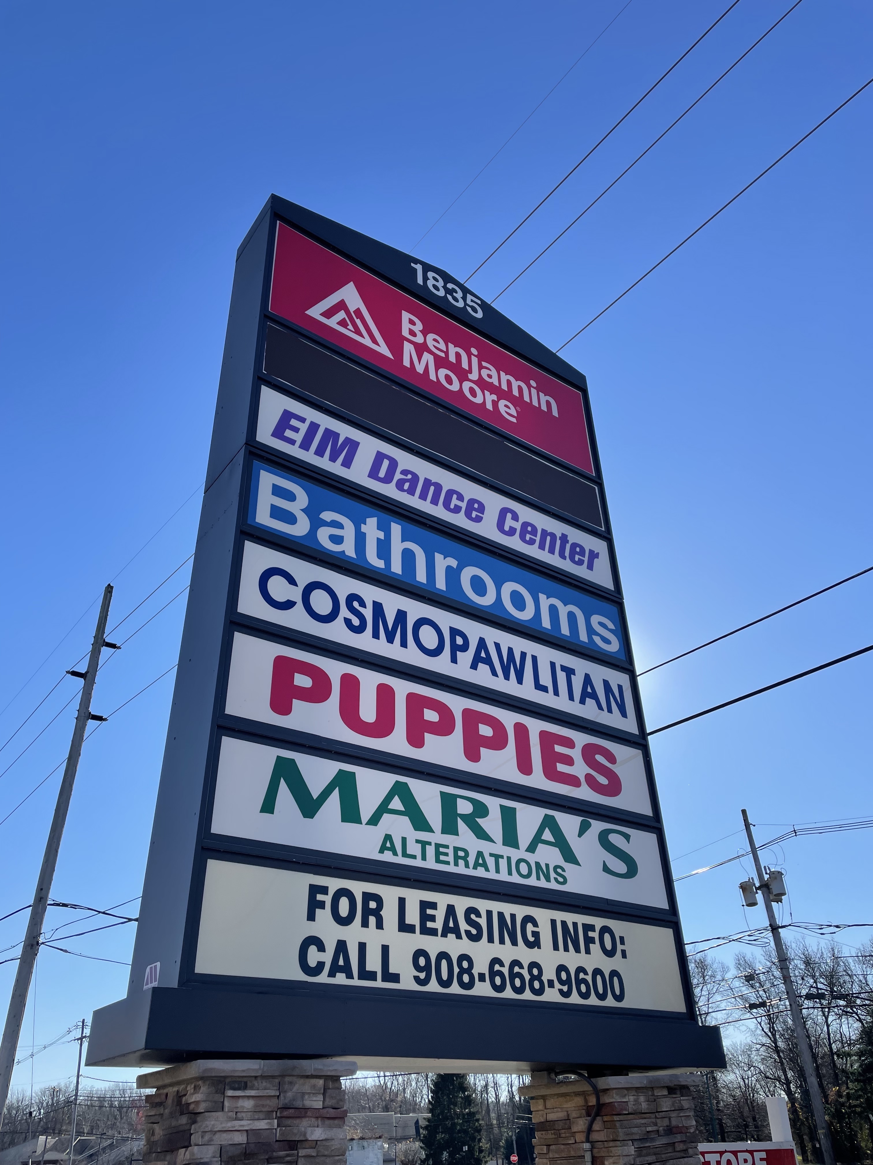 Select A Puppy, Inc. Image