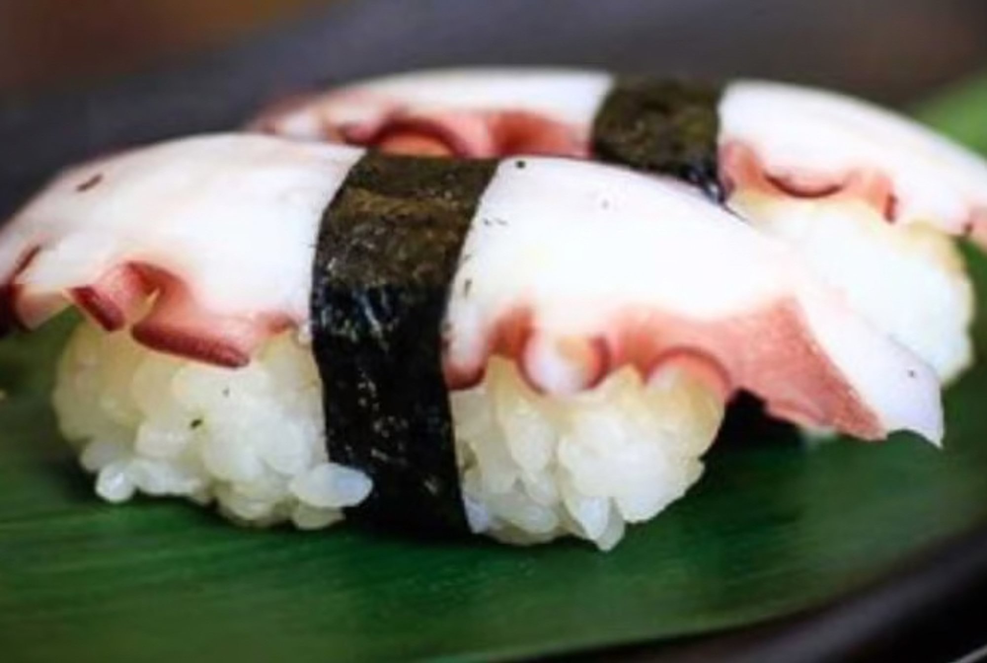 Octopus Sushi