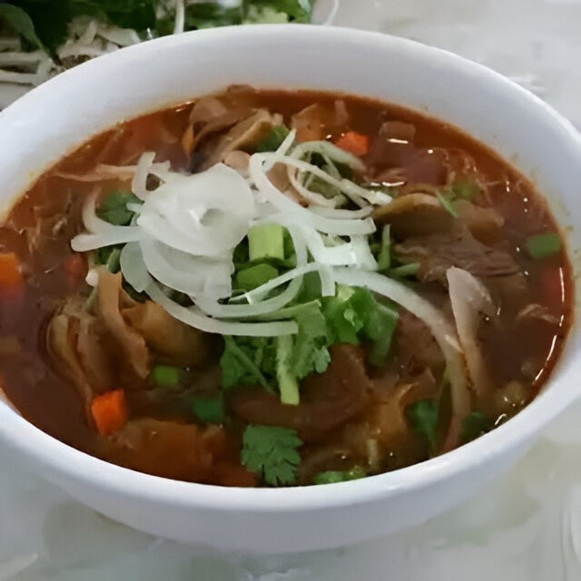 Vietnamese Beef Stew Rice Noodle Soup