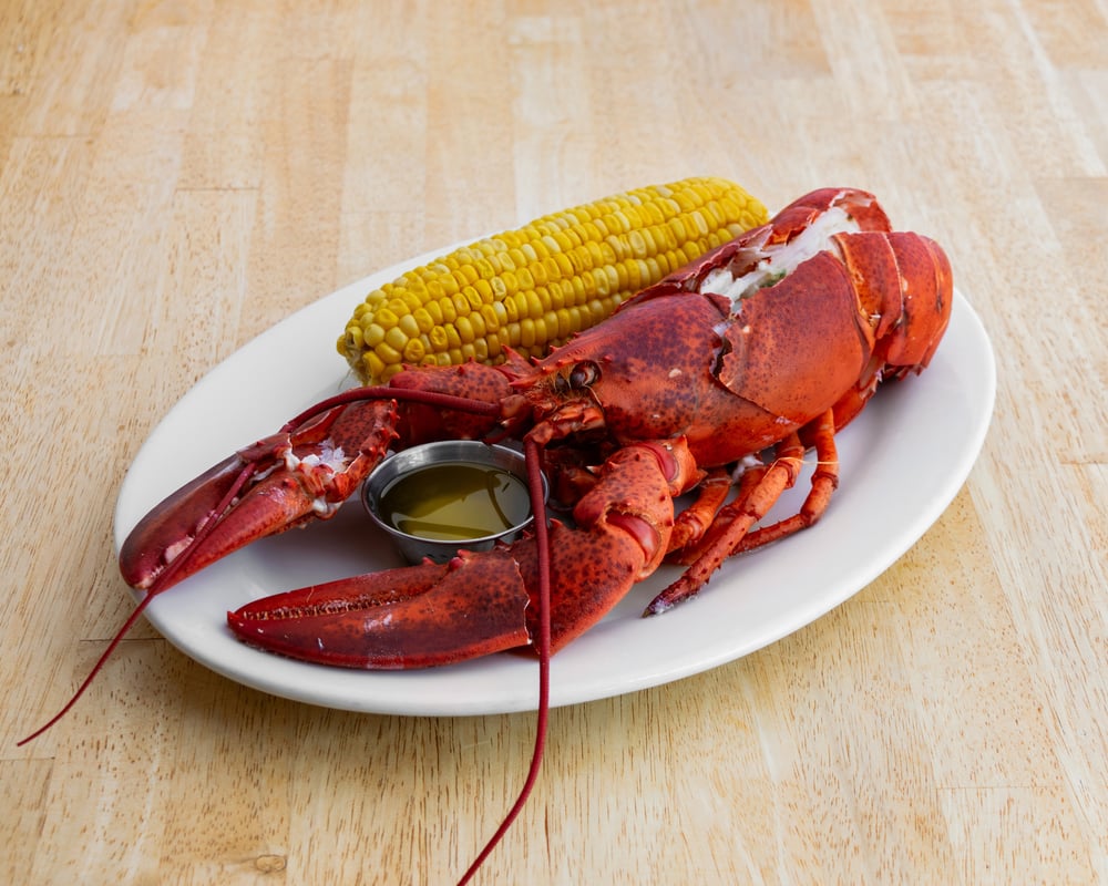Fresh Maine Lobster Dinner