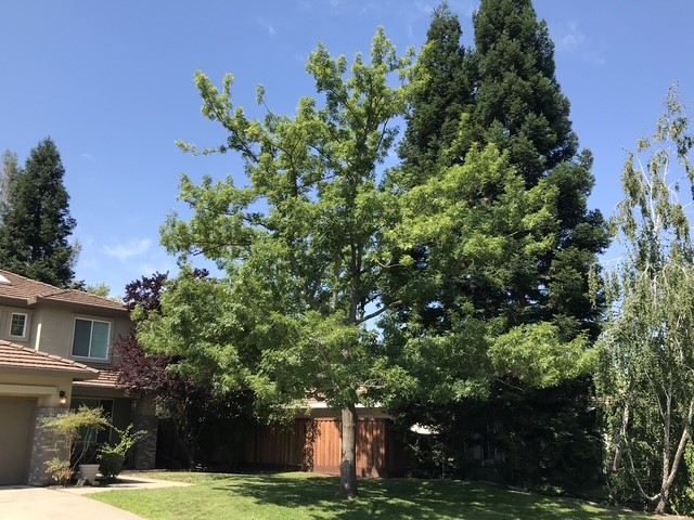 FC Valley Tree Care Inc. Image