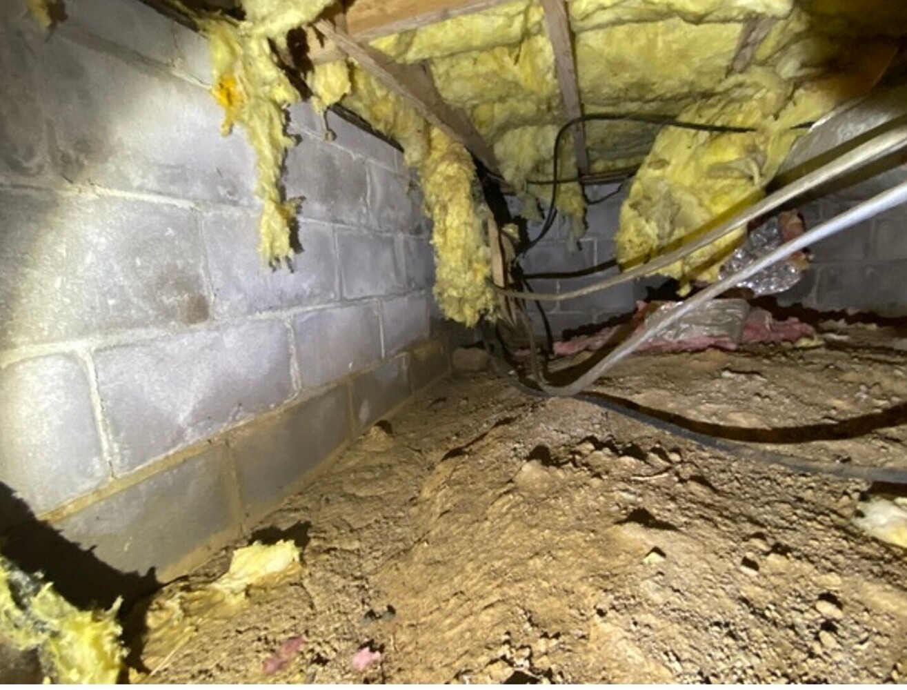 Ox Foundation Solutions Image