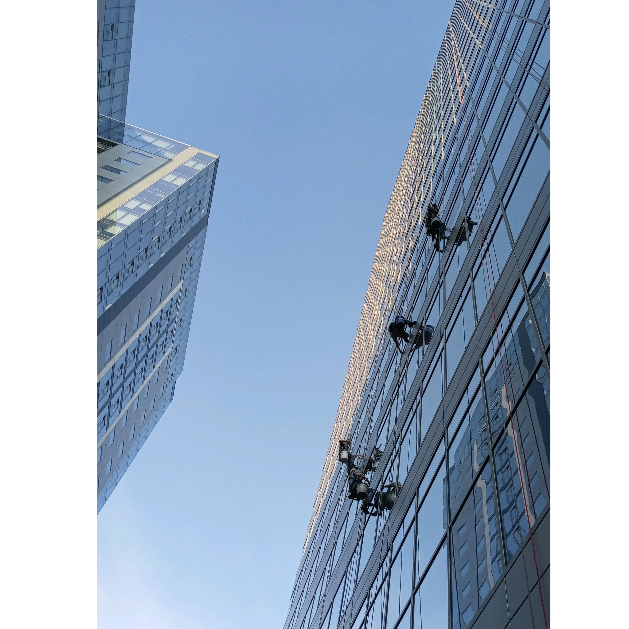 Dirty Boys Window Cleaning Logo