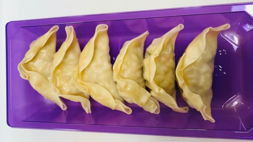 Chicken Dumplings