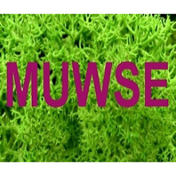 Logo von Muwse Bettina Bunzel