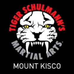 Tiger Schulmann's Martial Arts (Mount Kisco, NY) Photo