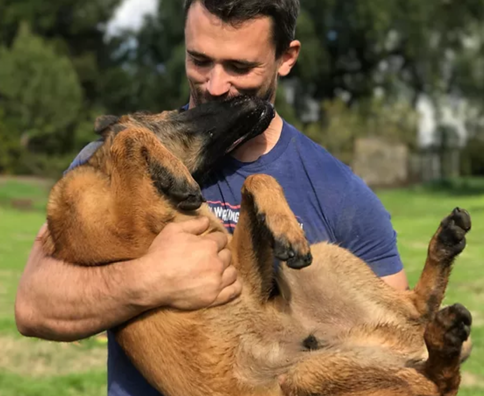 Nate Schoemer Dog Training Image