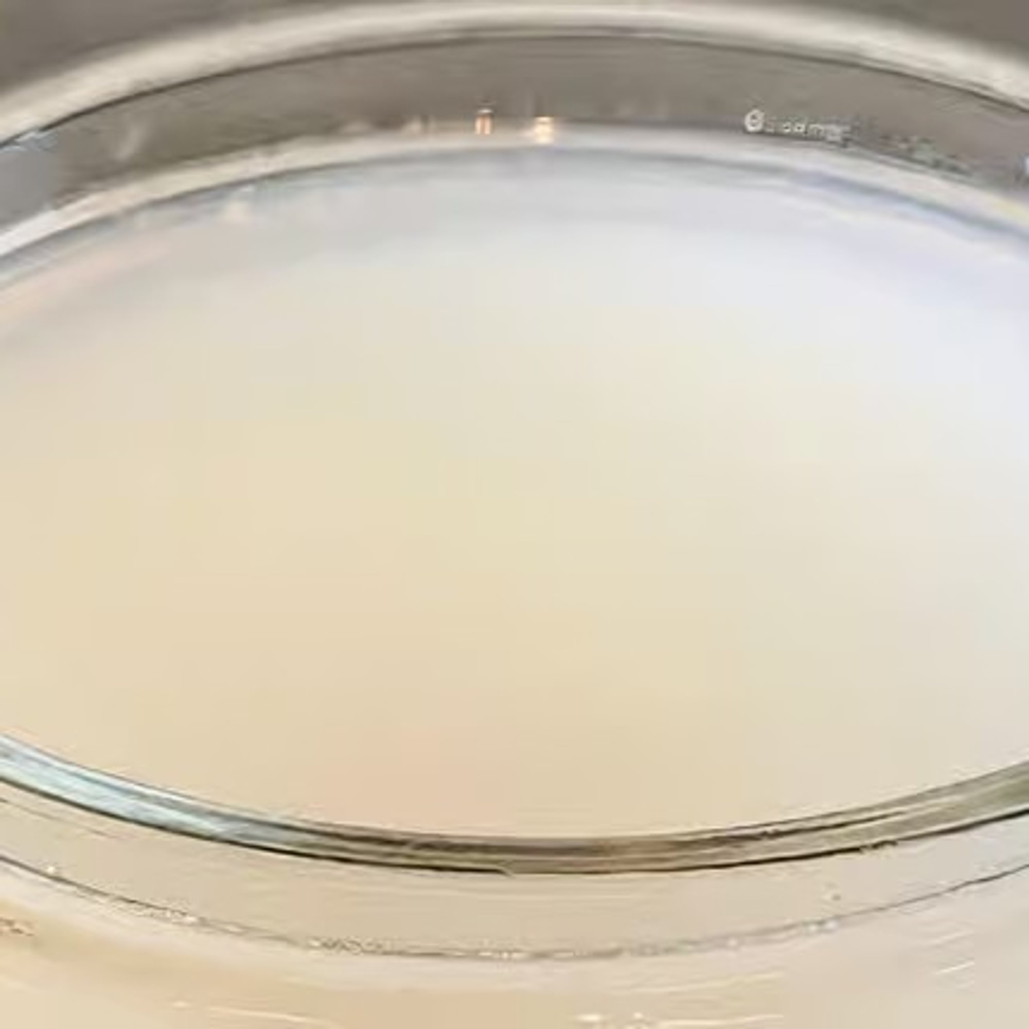 Mojito sauce