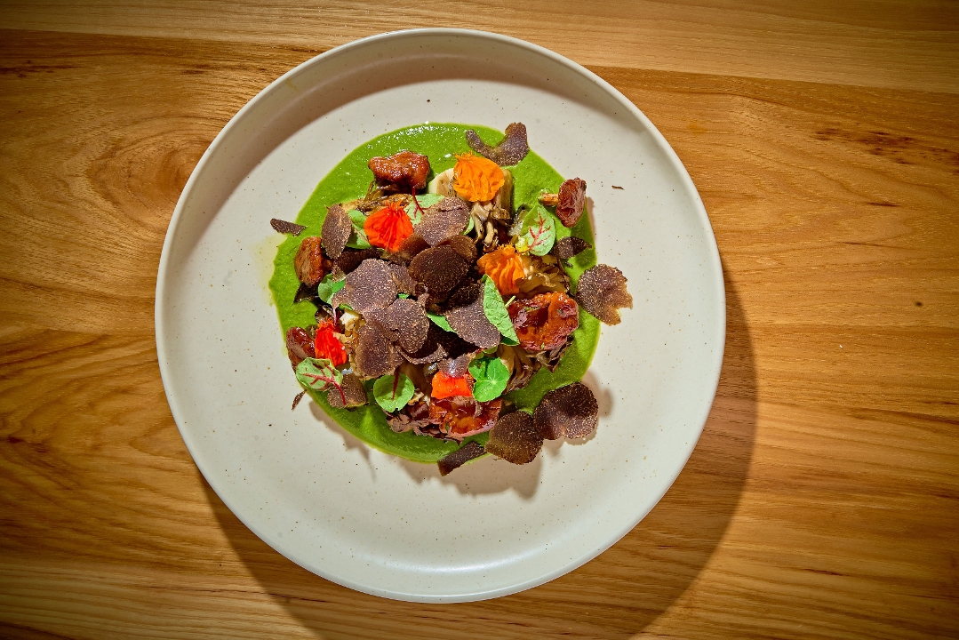 Mushrooms con Pipian Verde