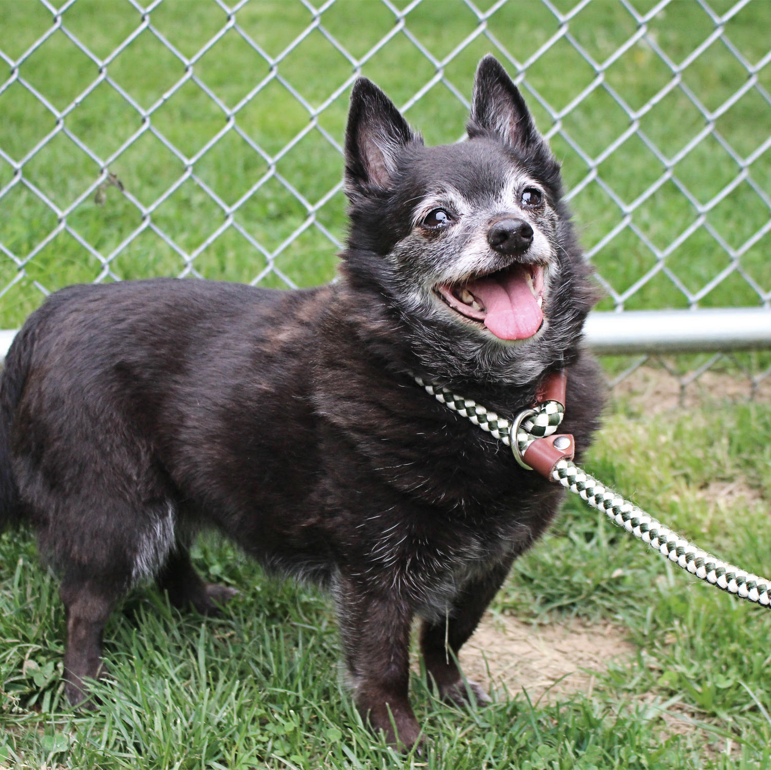 Women's Animal Center Photo