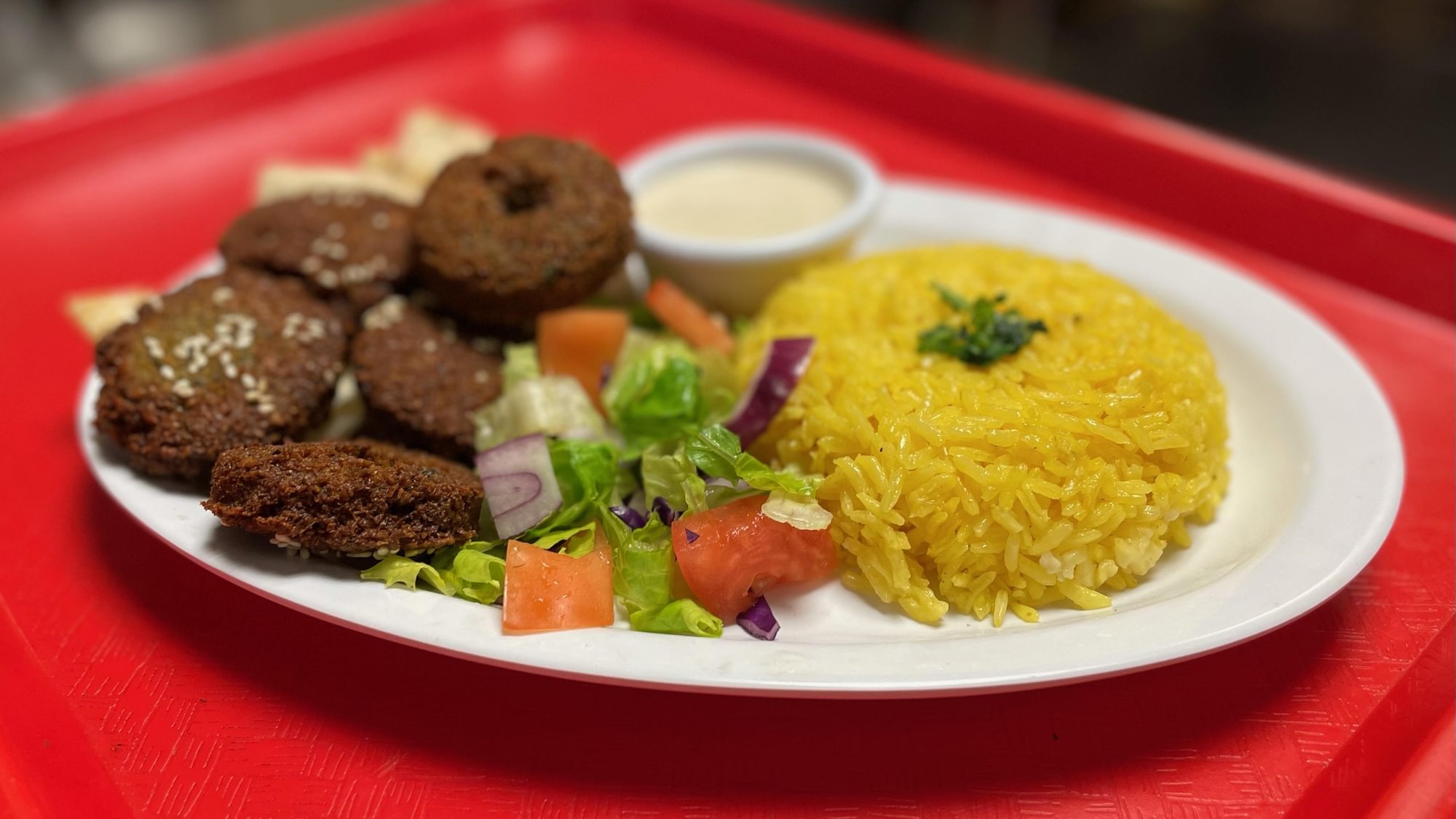 Falafel Platter