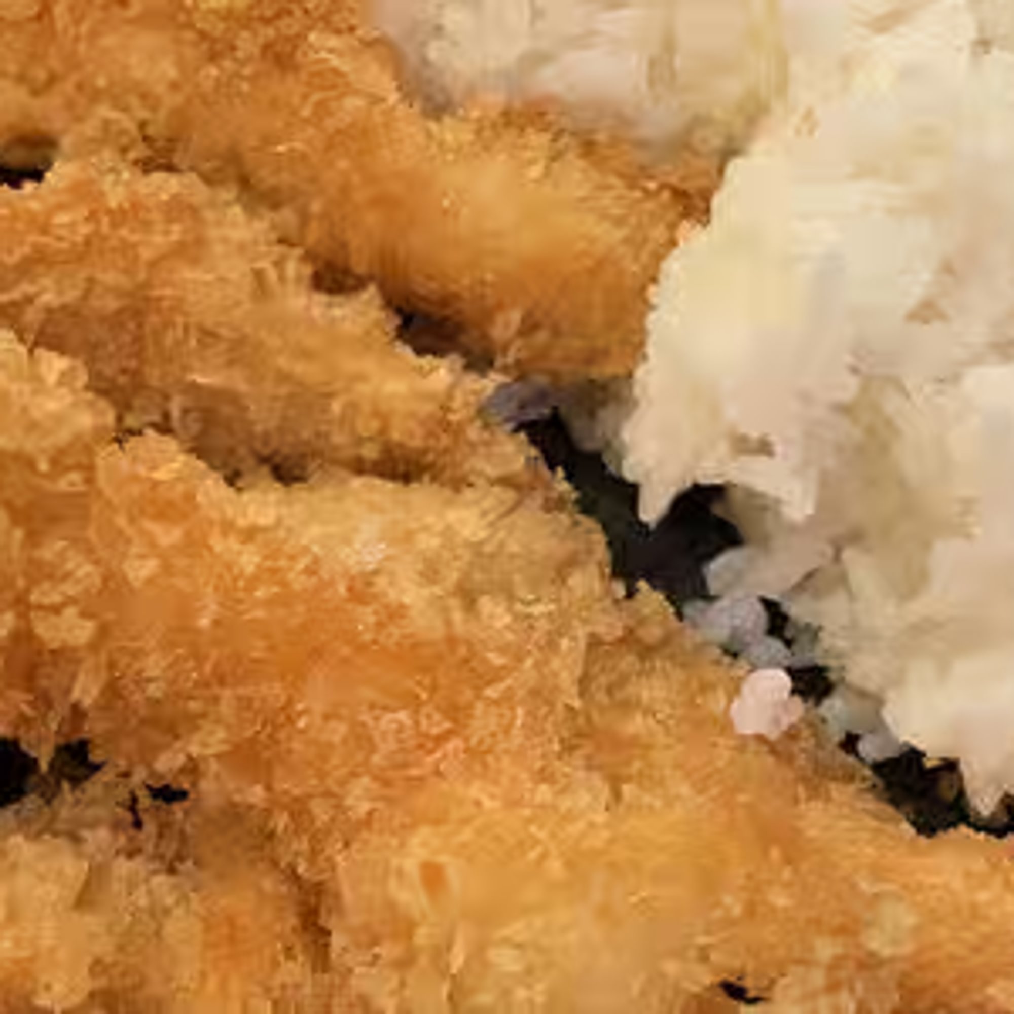 Shrimp Katsu Ramen
