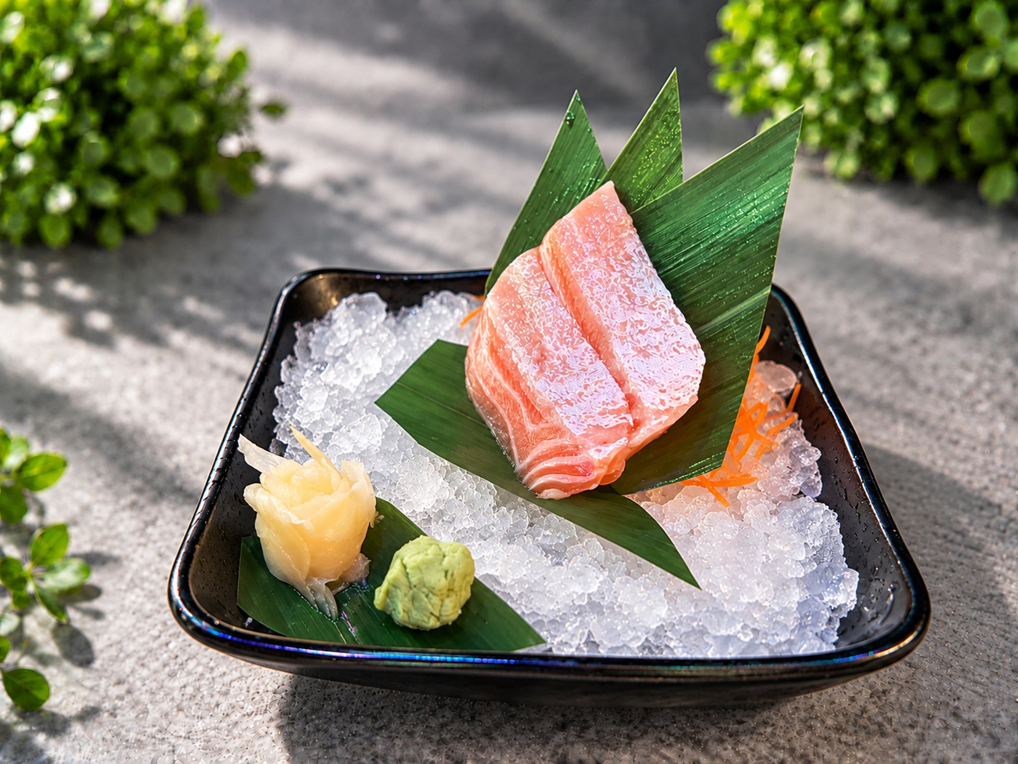 Salmon Belly Sashimi