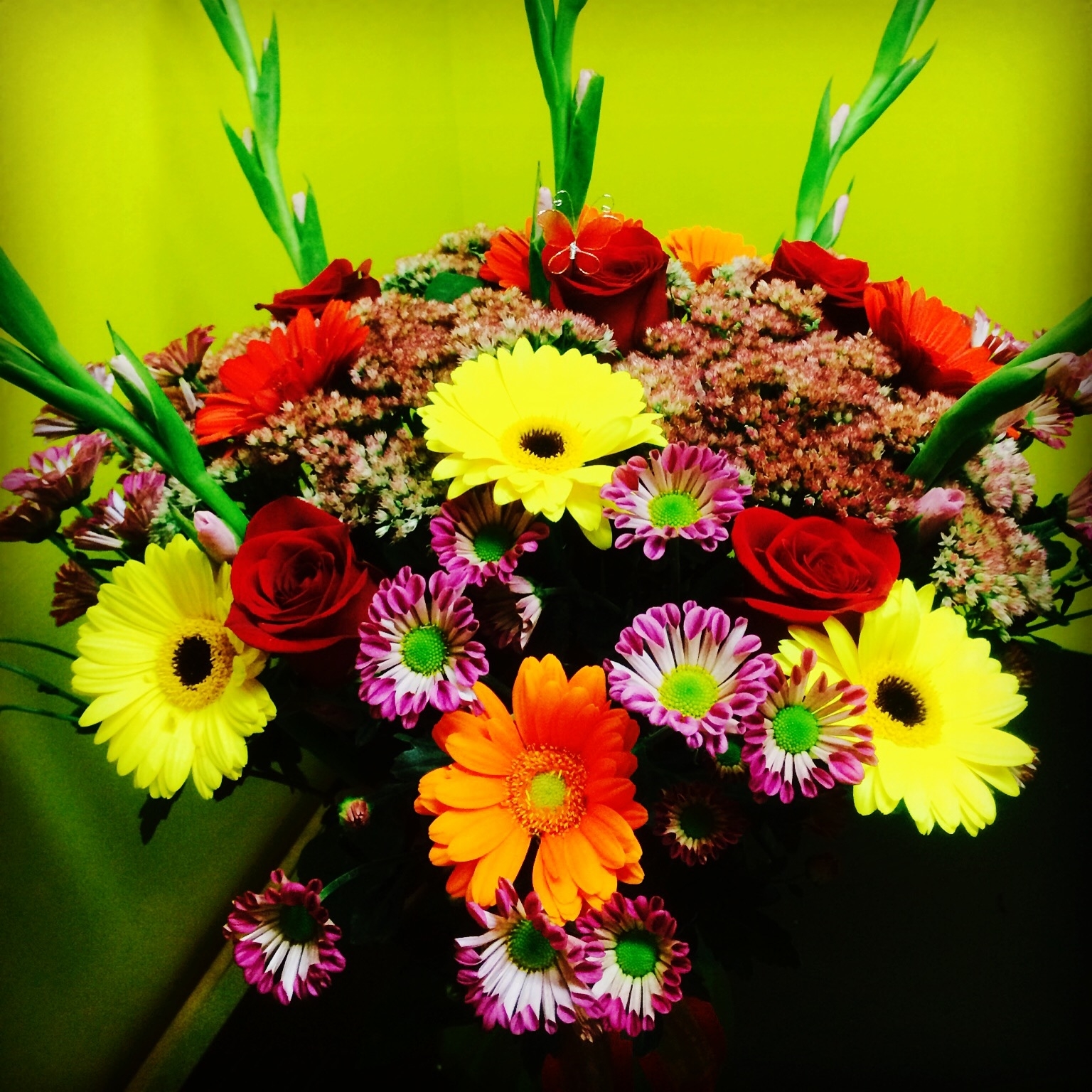 Lisa's Gifts & Flowers, 7839 135A Avenue Northwest, Edmonton, AB MapQuest