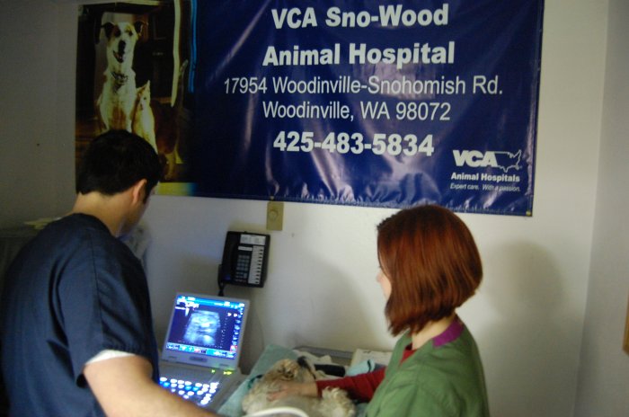 VCA Sno-Wood Animal Hospital Photo