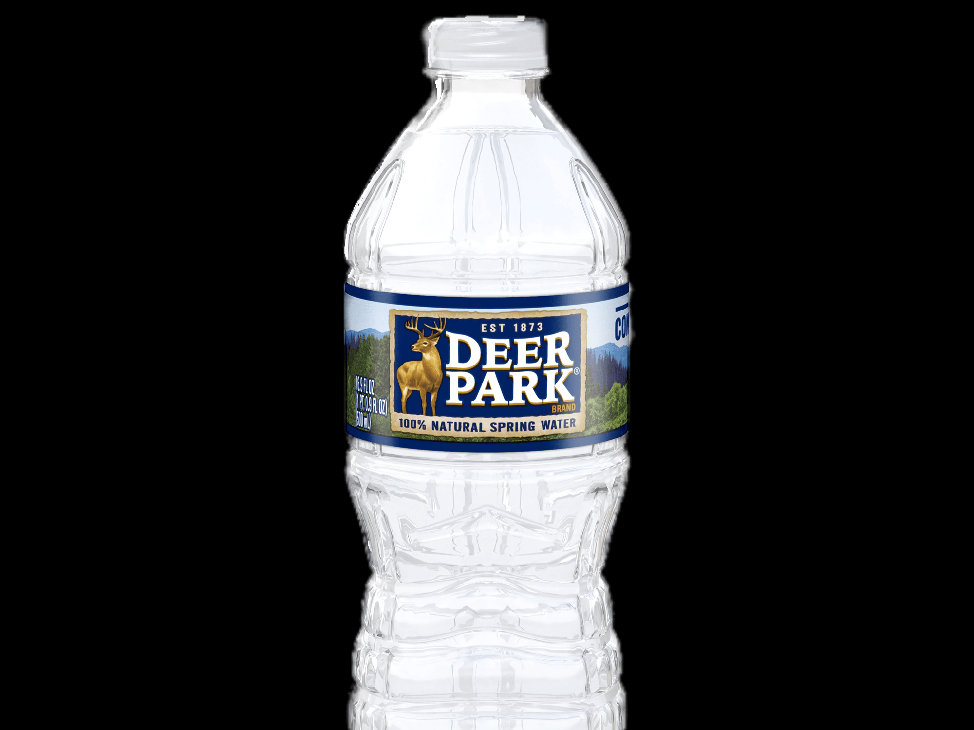 Water Bottle