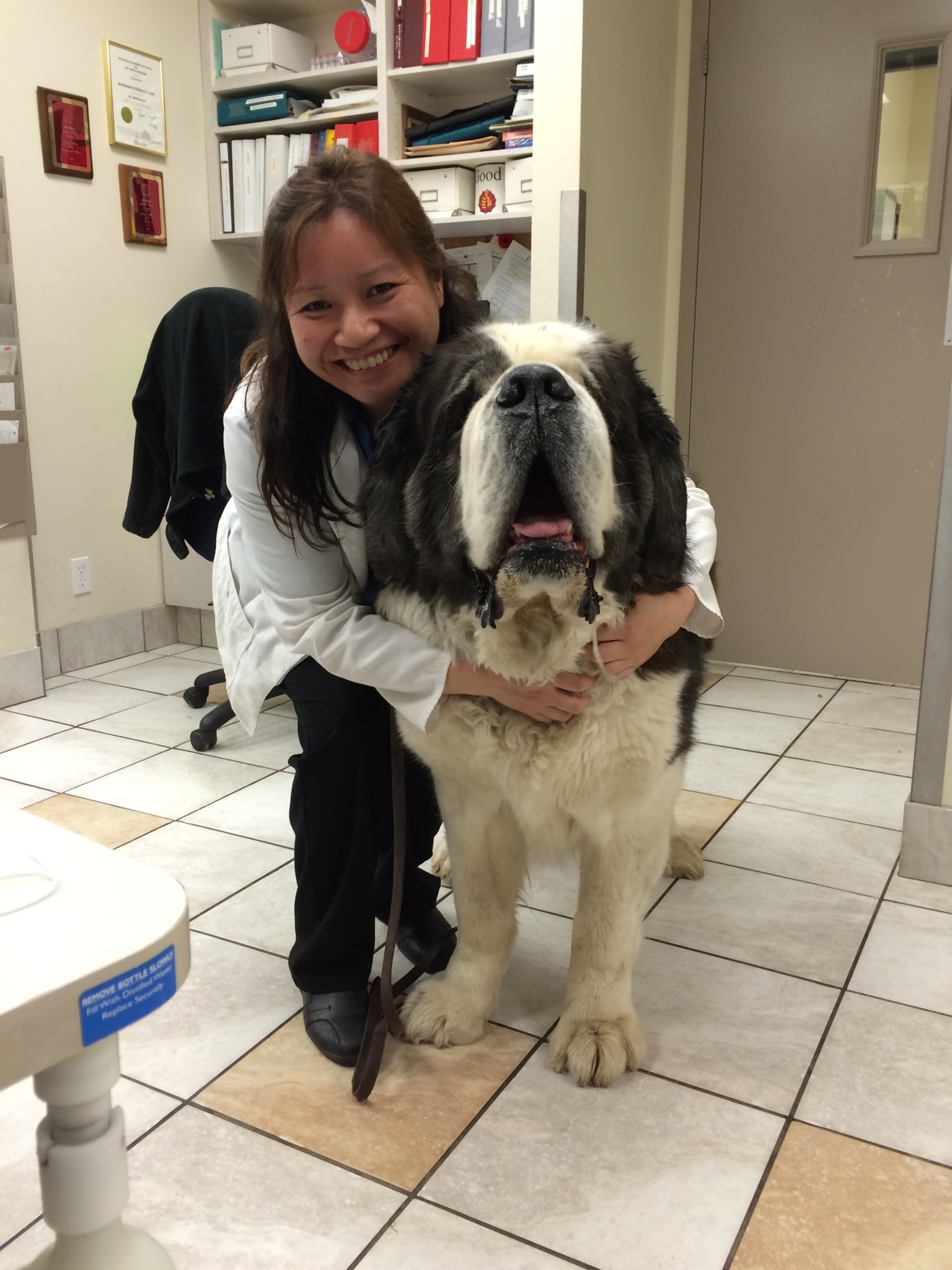 Images Markham Veterinary Clinic
