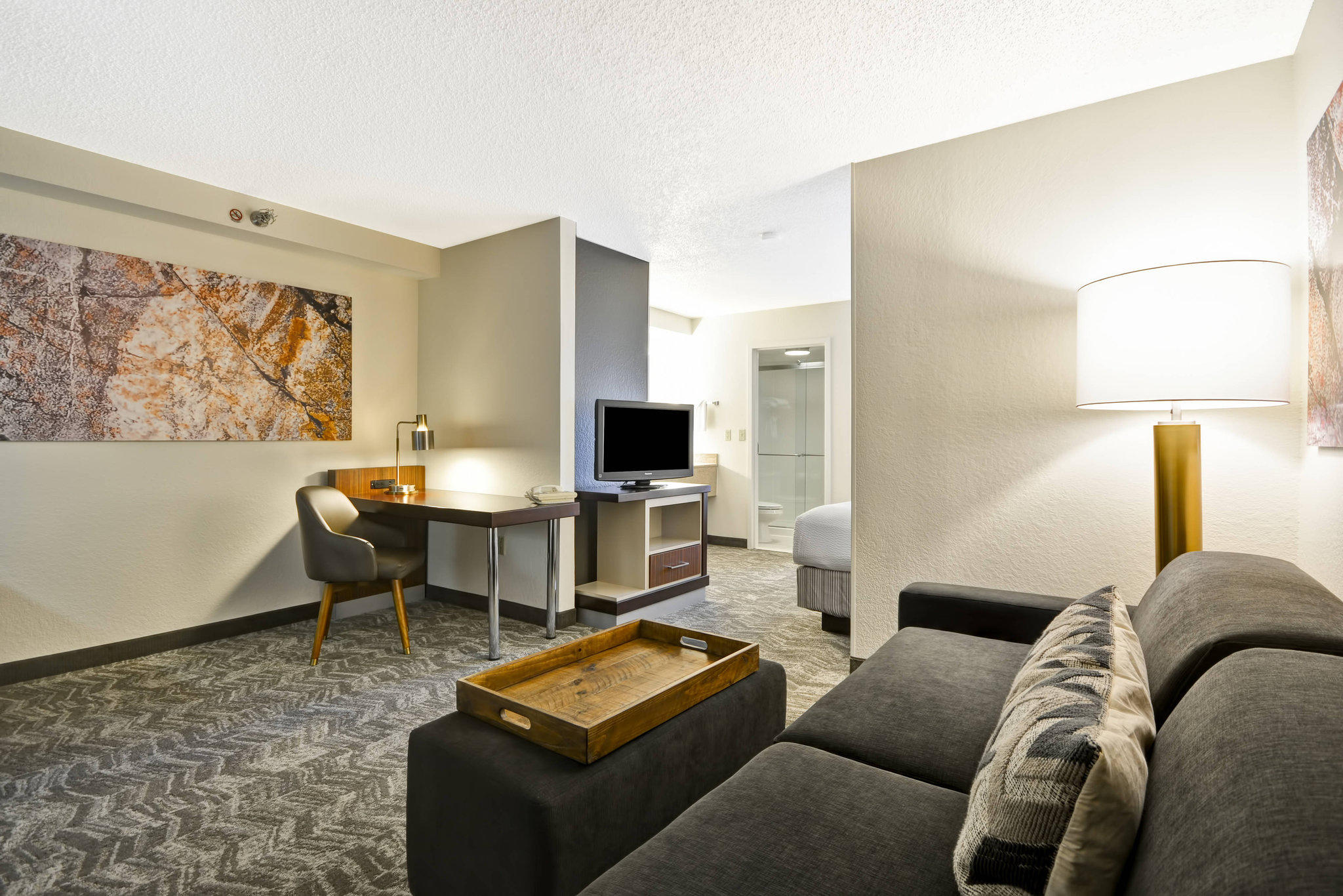 SpringHill Suites by Marriott San Antonio Medical Center/Northwest Photo