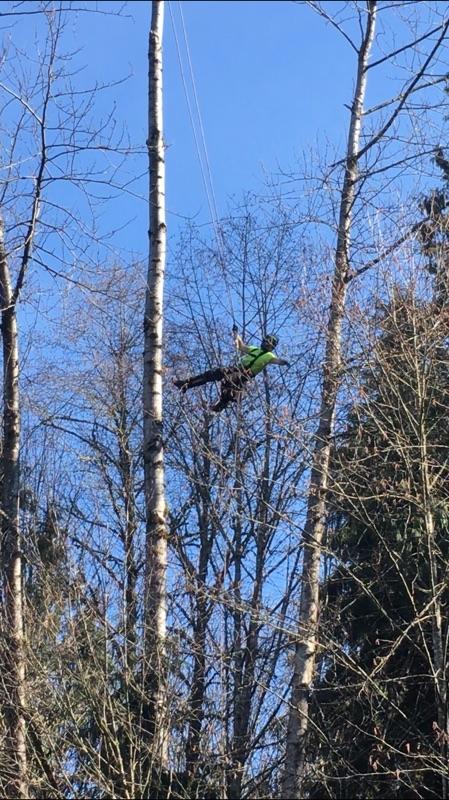 PENNELLA TREE SERVICE LLC Logo