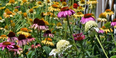 Lakeview Garden Center & Landscaping Photo