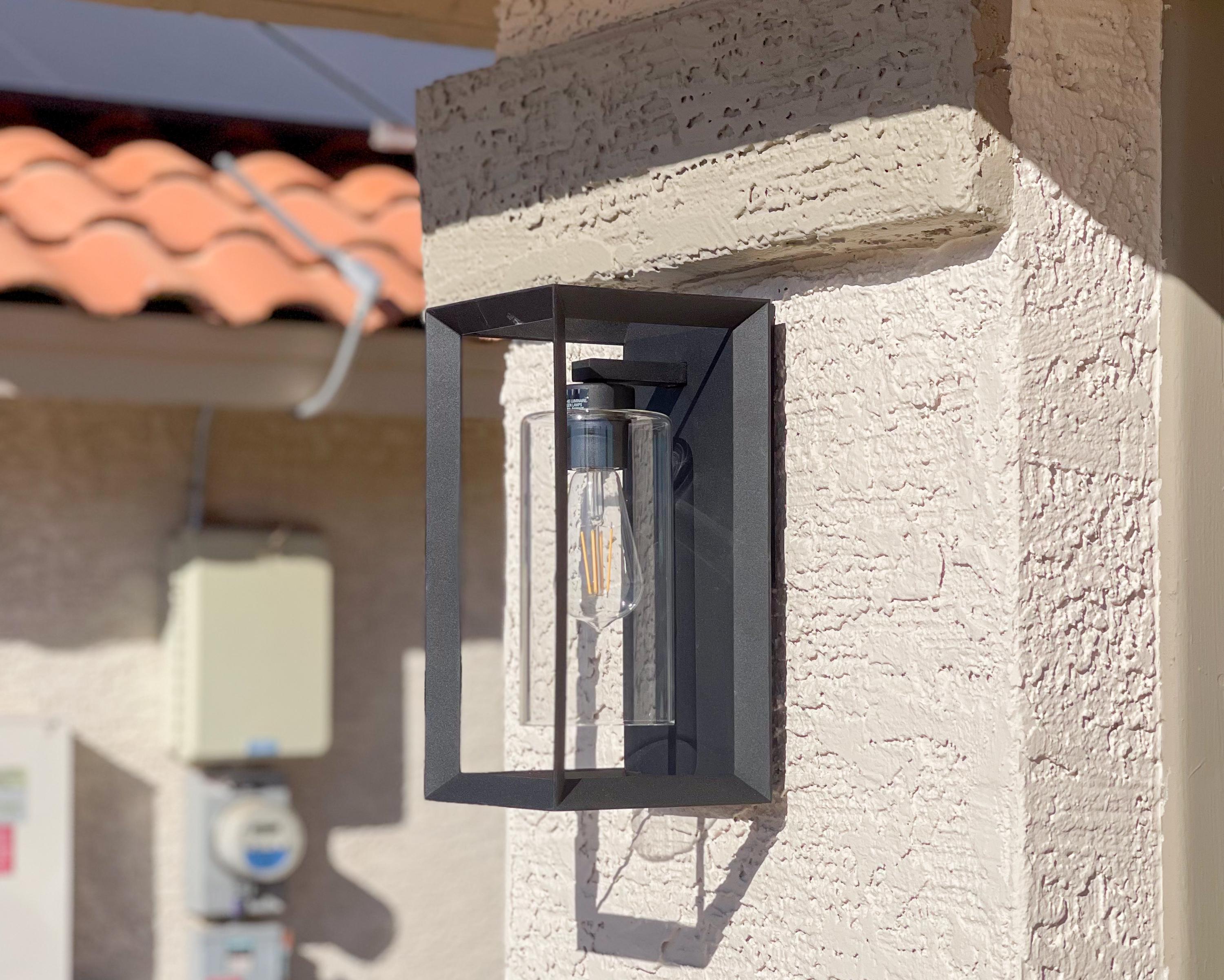 Orange Gator Electric Image