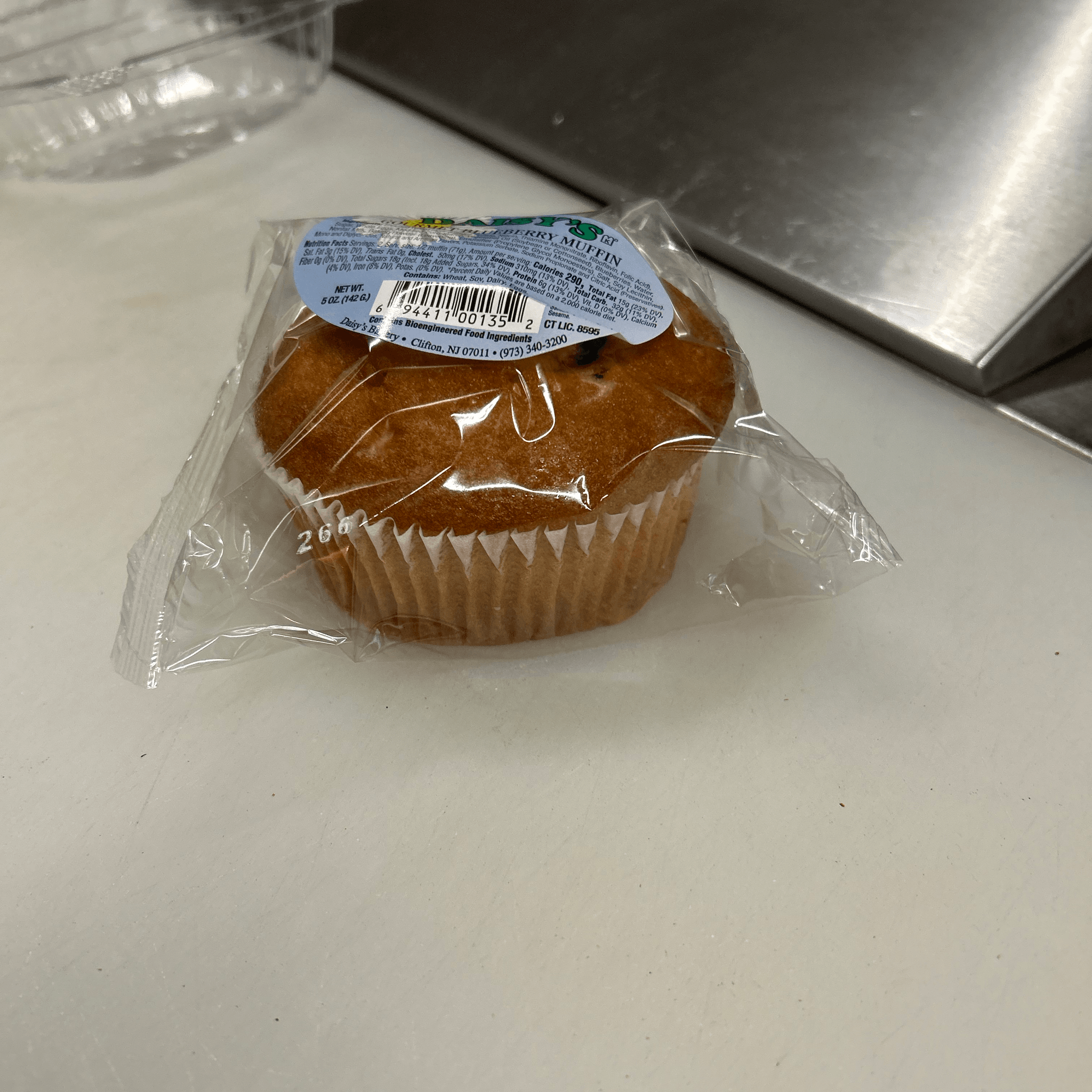 Blueberry Muffin