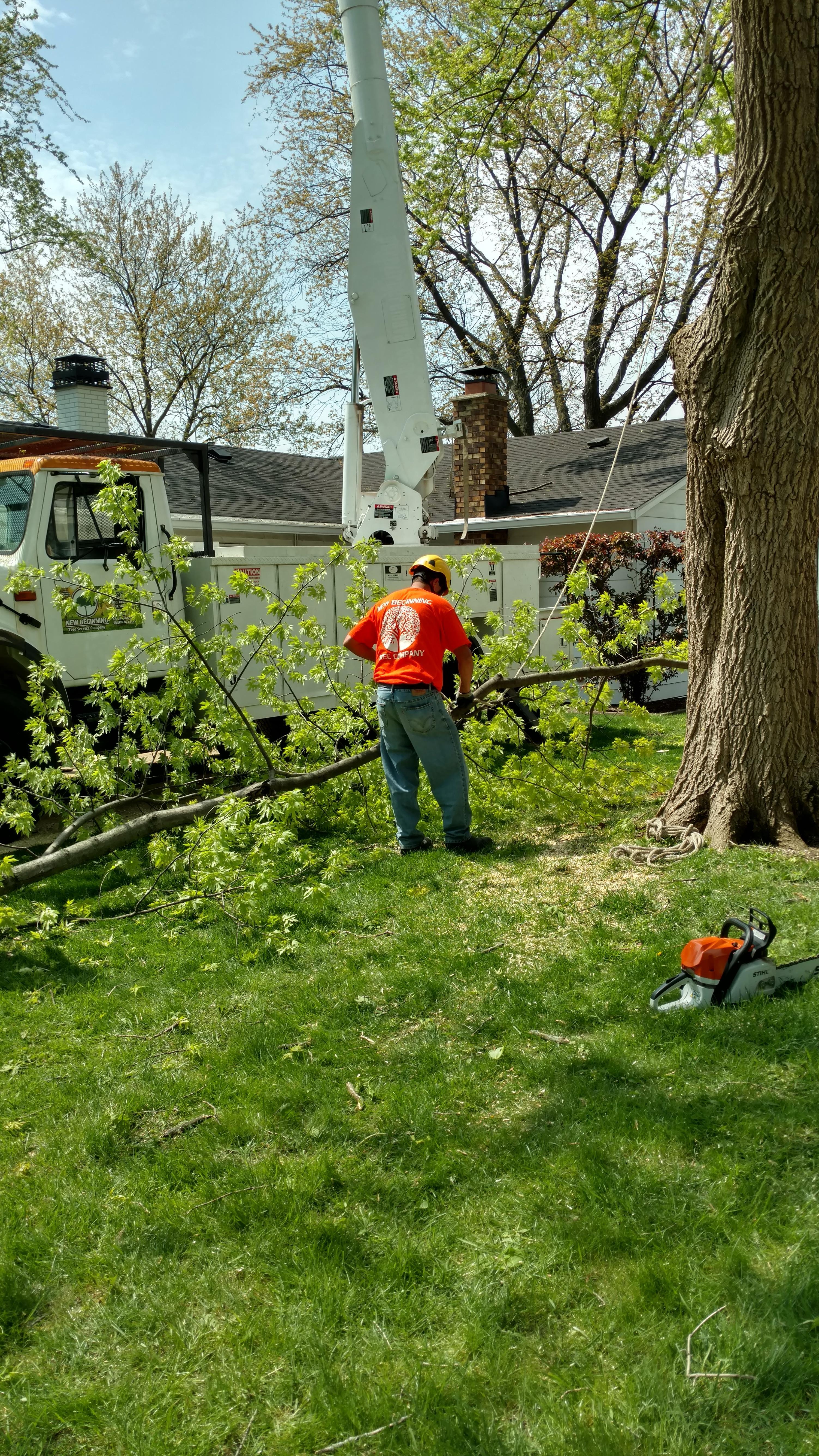New Beginning Tree Service Company Image