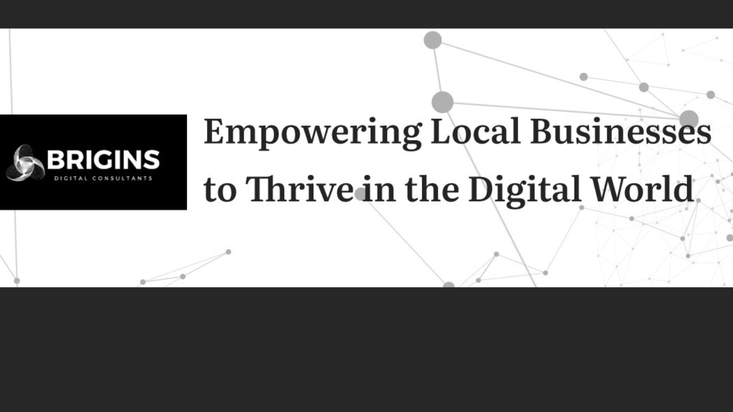 Brigins Digital Consultants LLC Logo