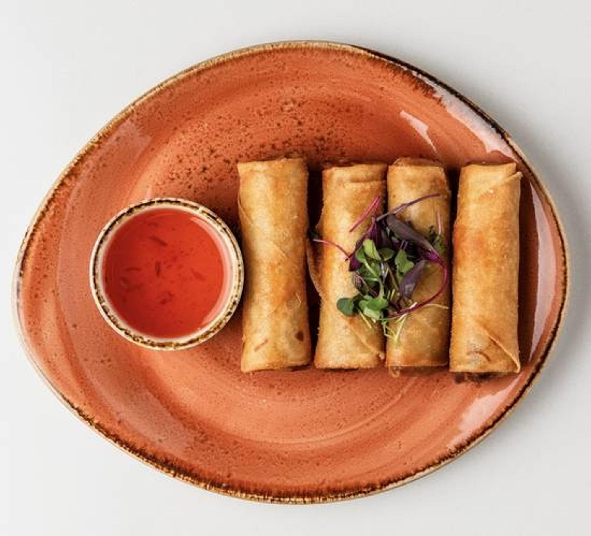 Vegetable Spring Roll