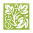 Design Essence Inc.