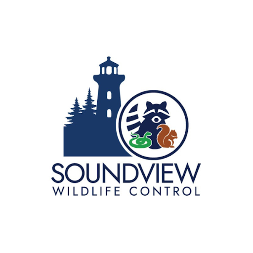Soundview Wildlife Control