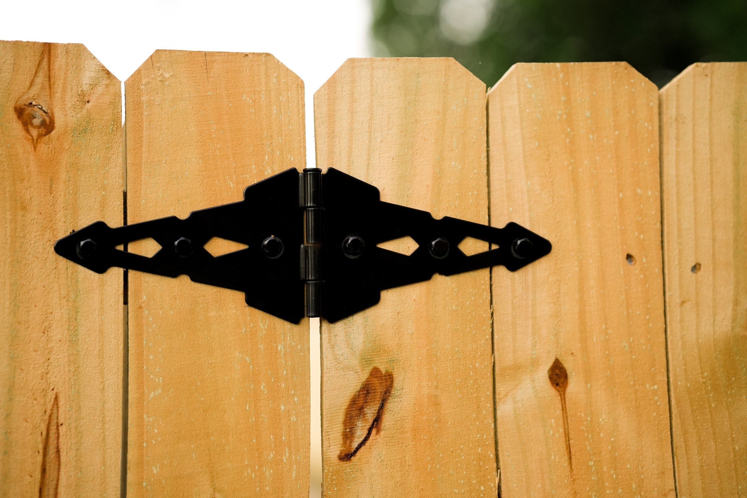 Top Rail Fence Knoxville Image