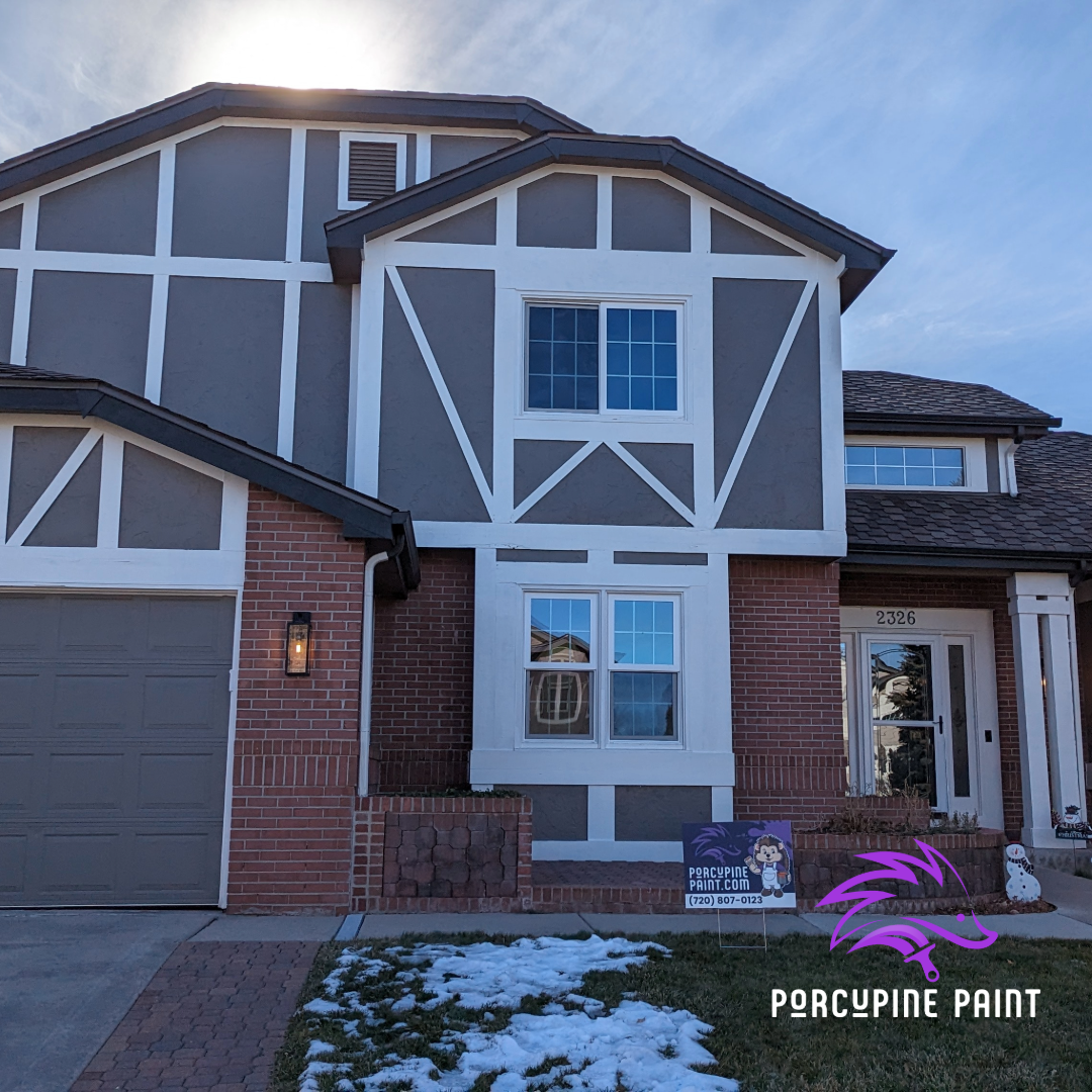 Porcupine Paint Image