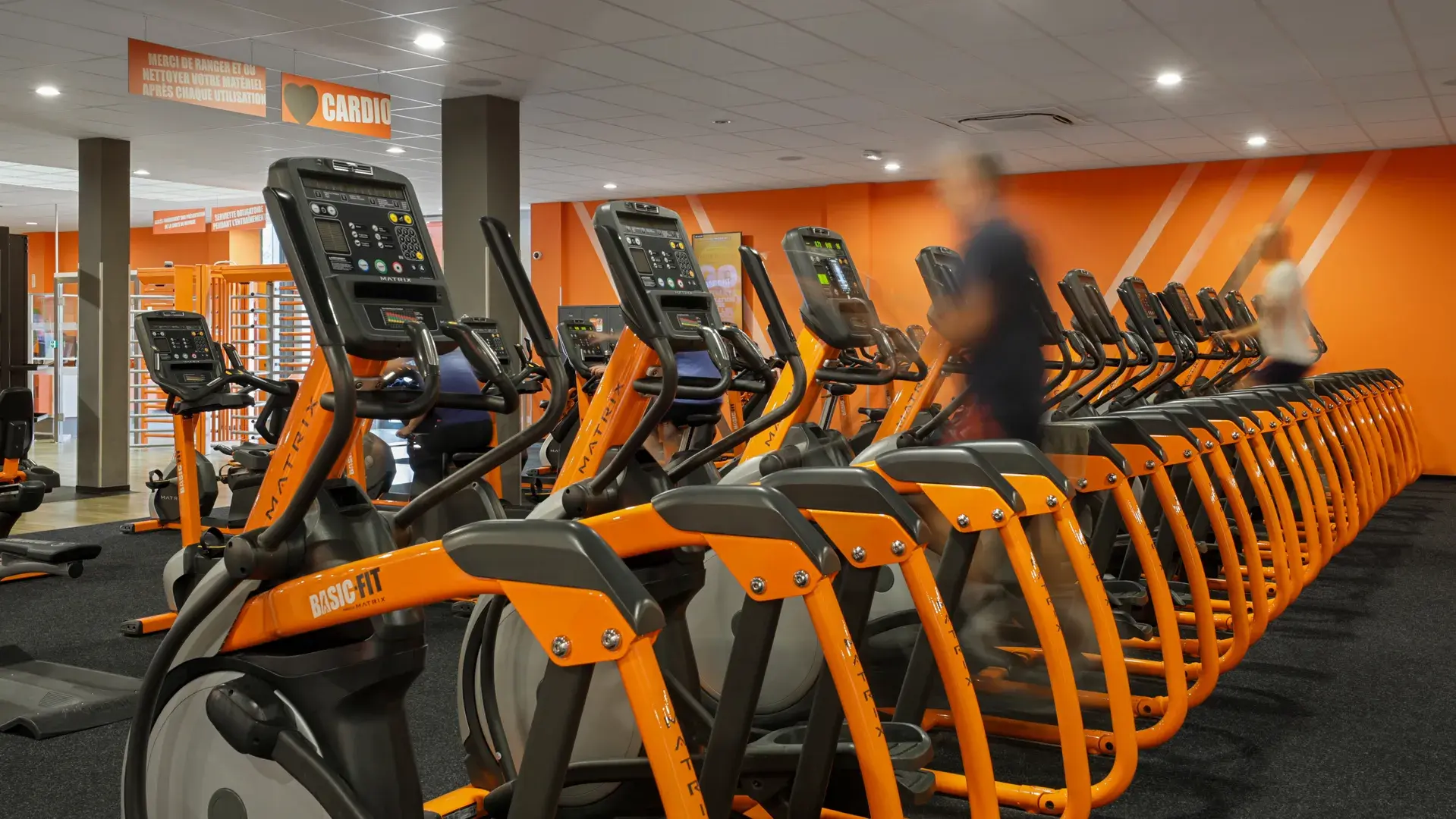 Miniature de la galerie