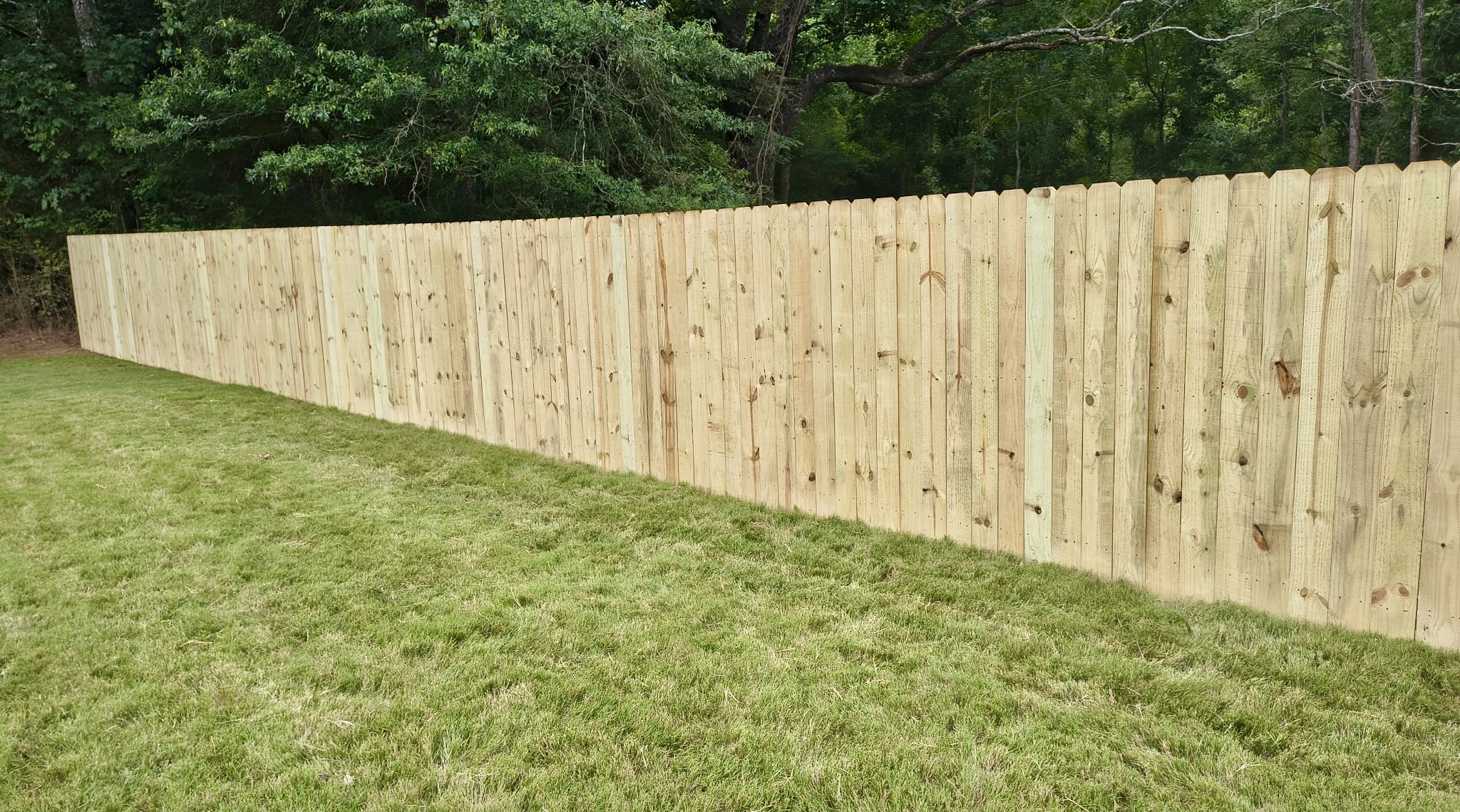 Stand Strong Fencing