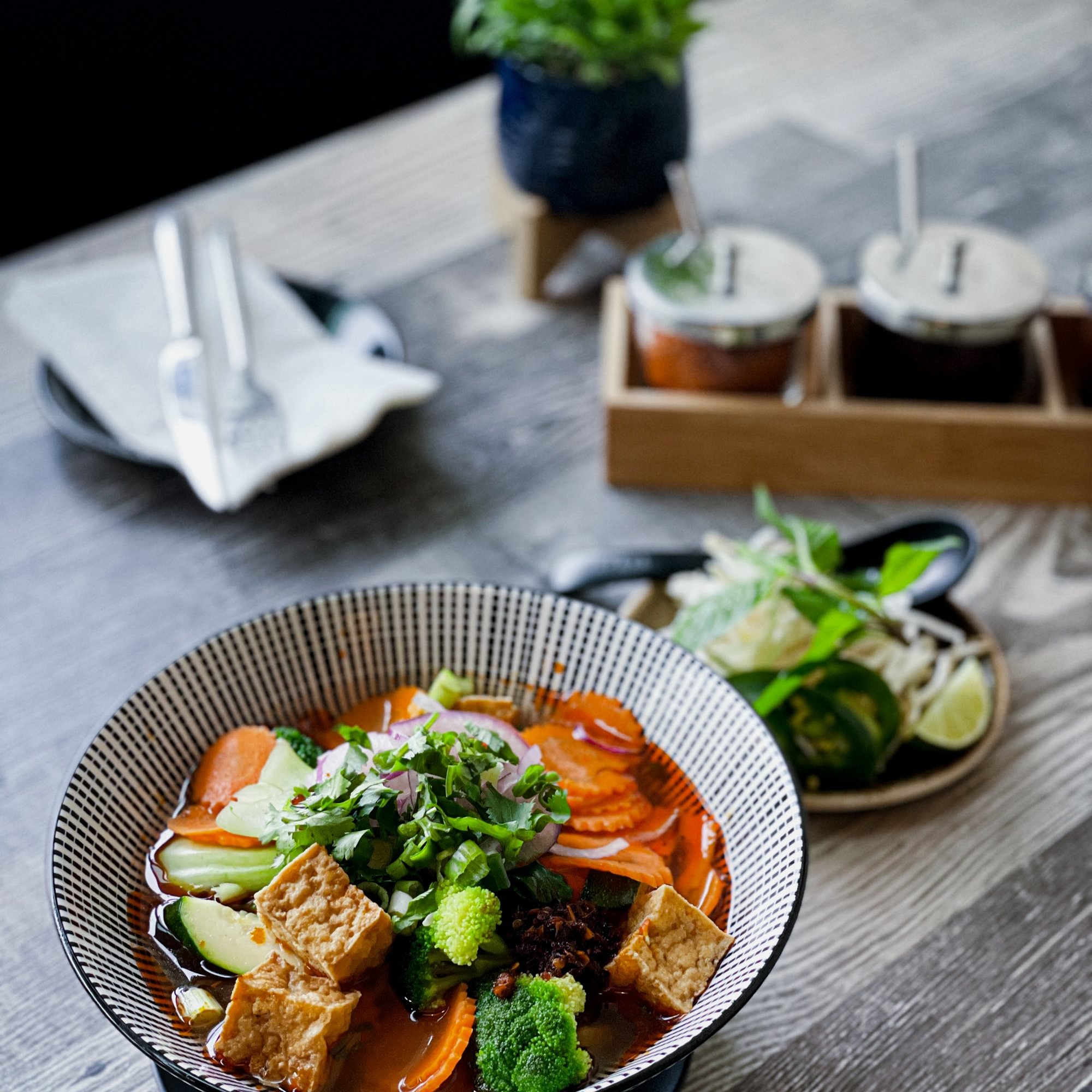 Spicy Vegetarian Noodle Soup