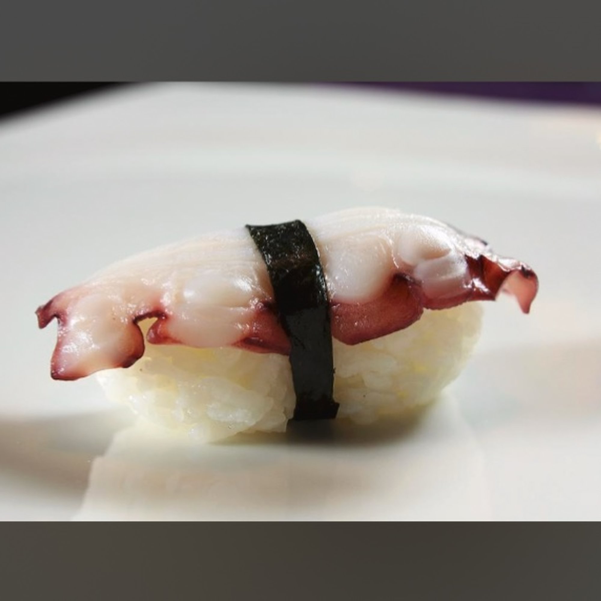 Tako/Octopus