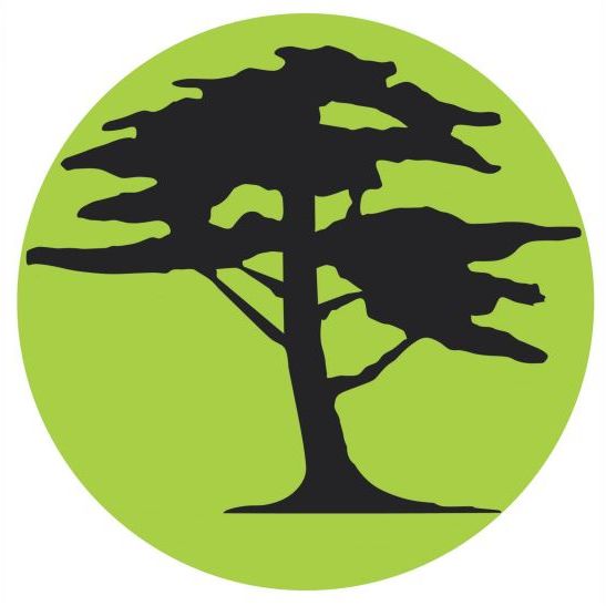 Logo von Astrein Baumpflege