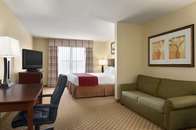 Studio Suite-King Bed Studio Suite-King Bed