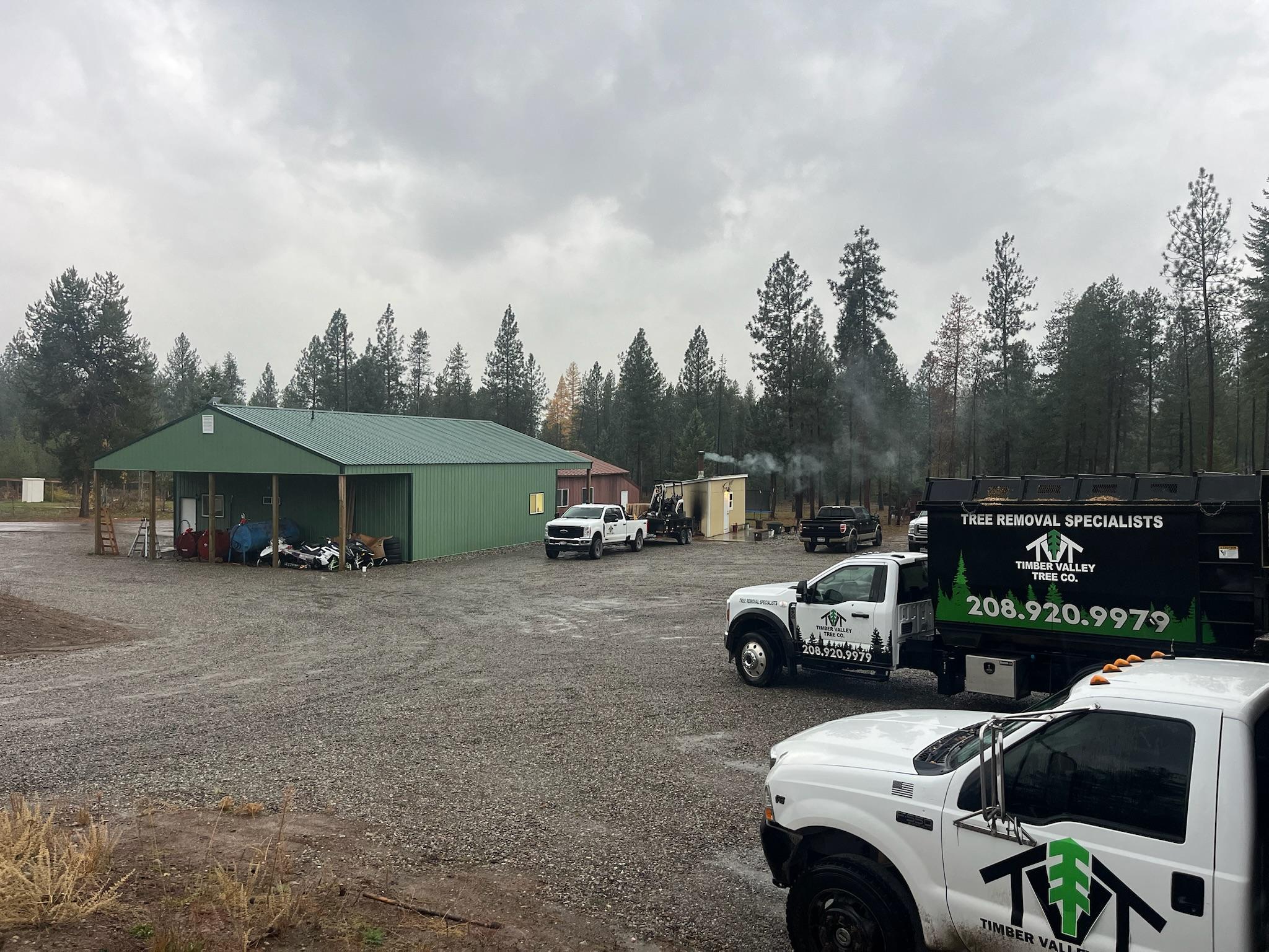 Timber Valley Tree Co. Image