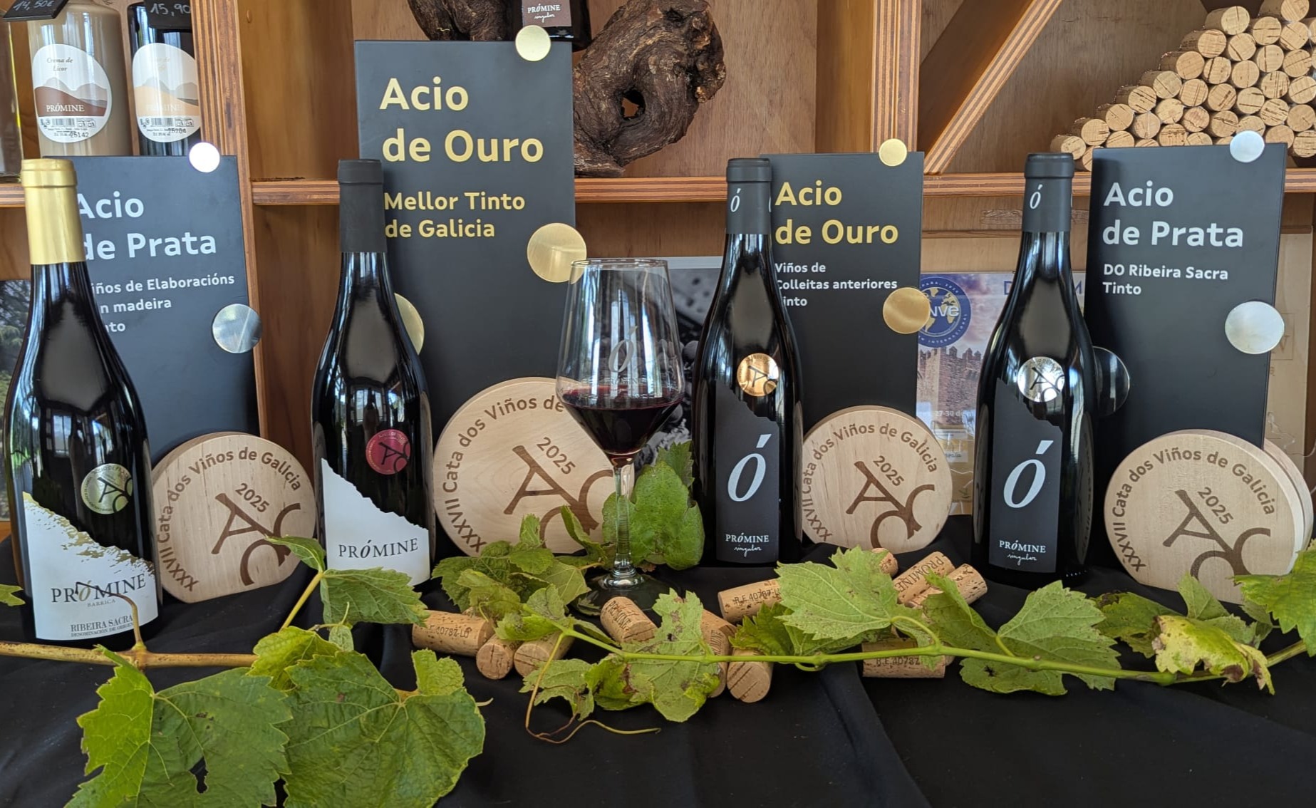 Galería en miniatura