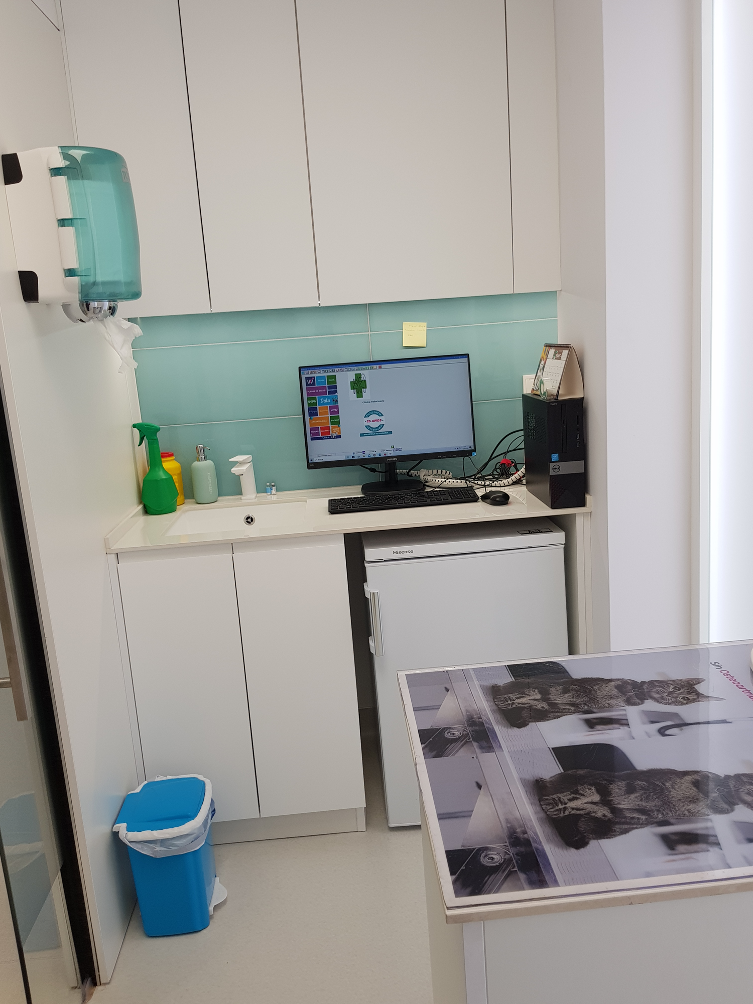 Galería en miniatura