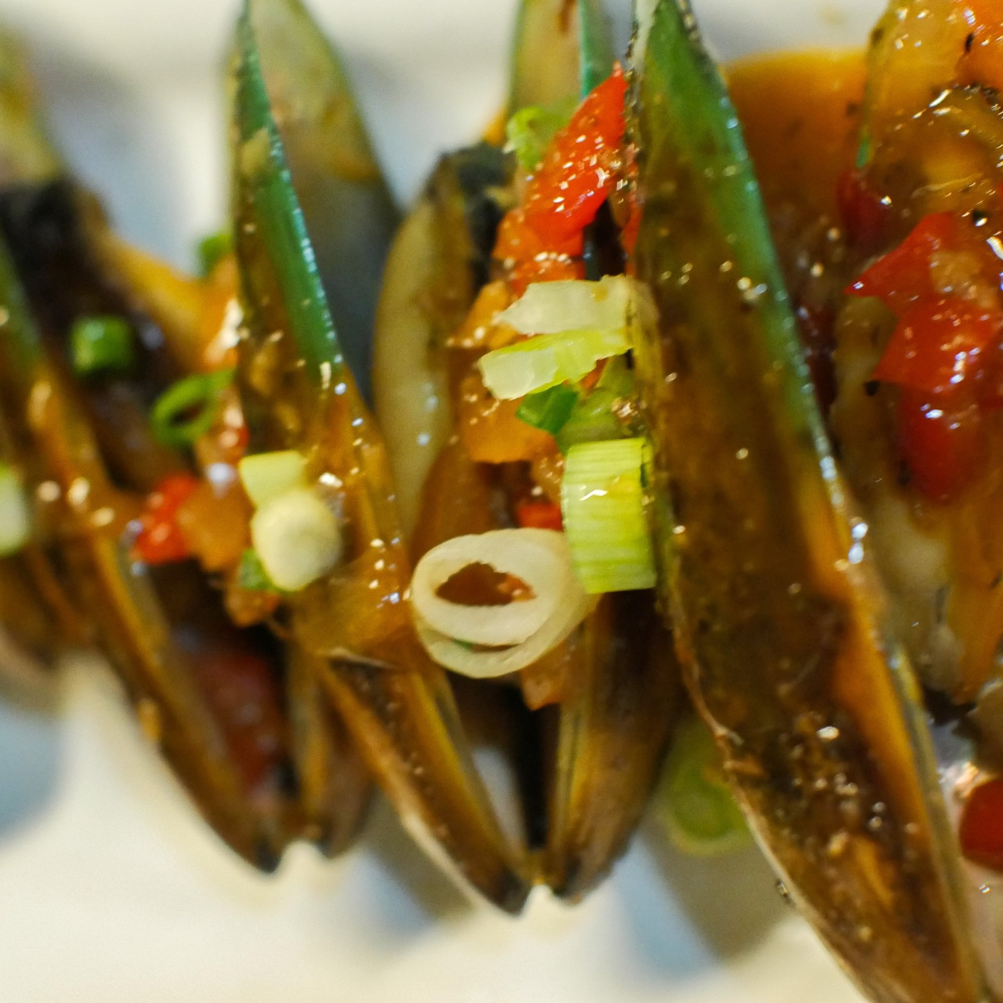 Mussels