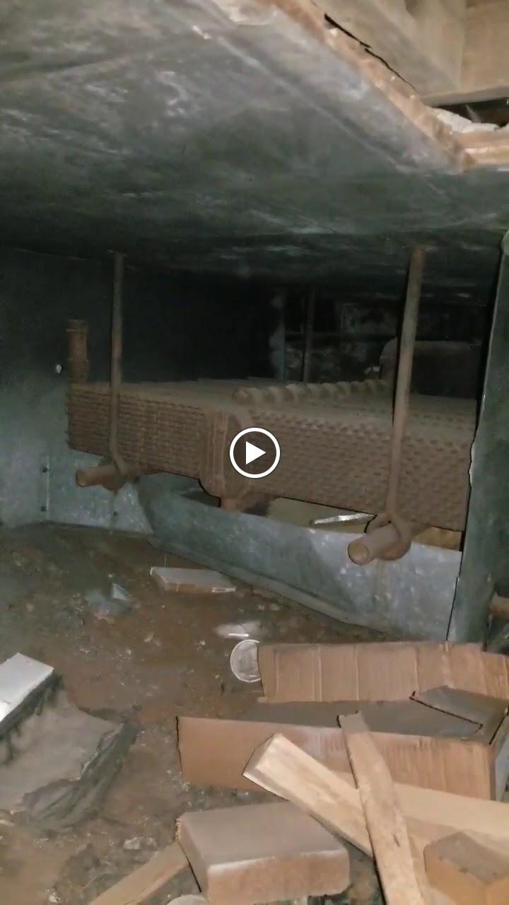 Alpha Building Inspections