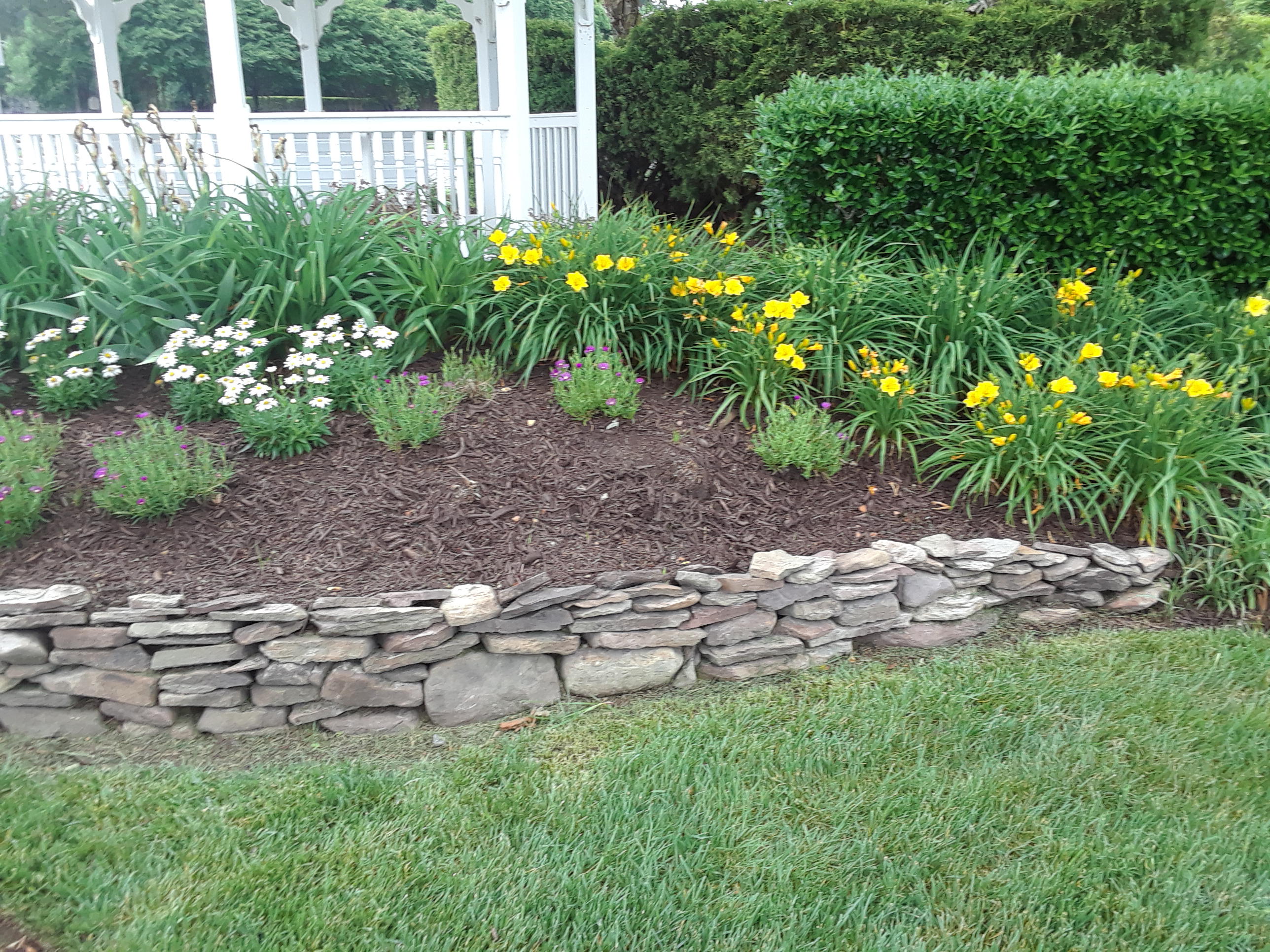 Botanical Landscape Management Photo