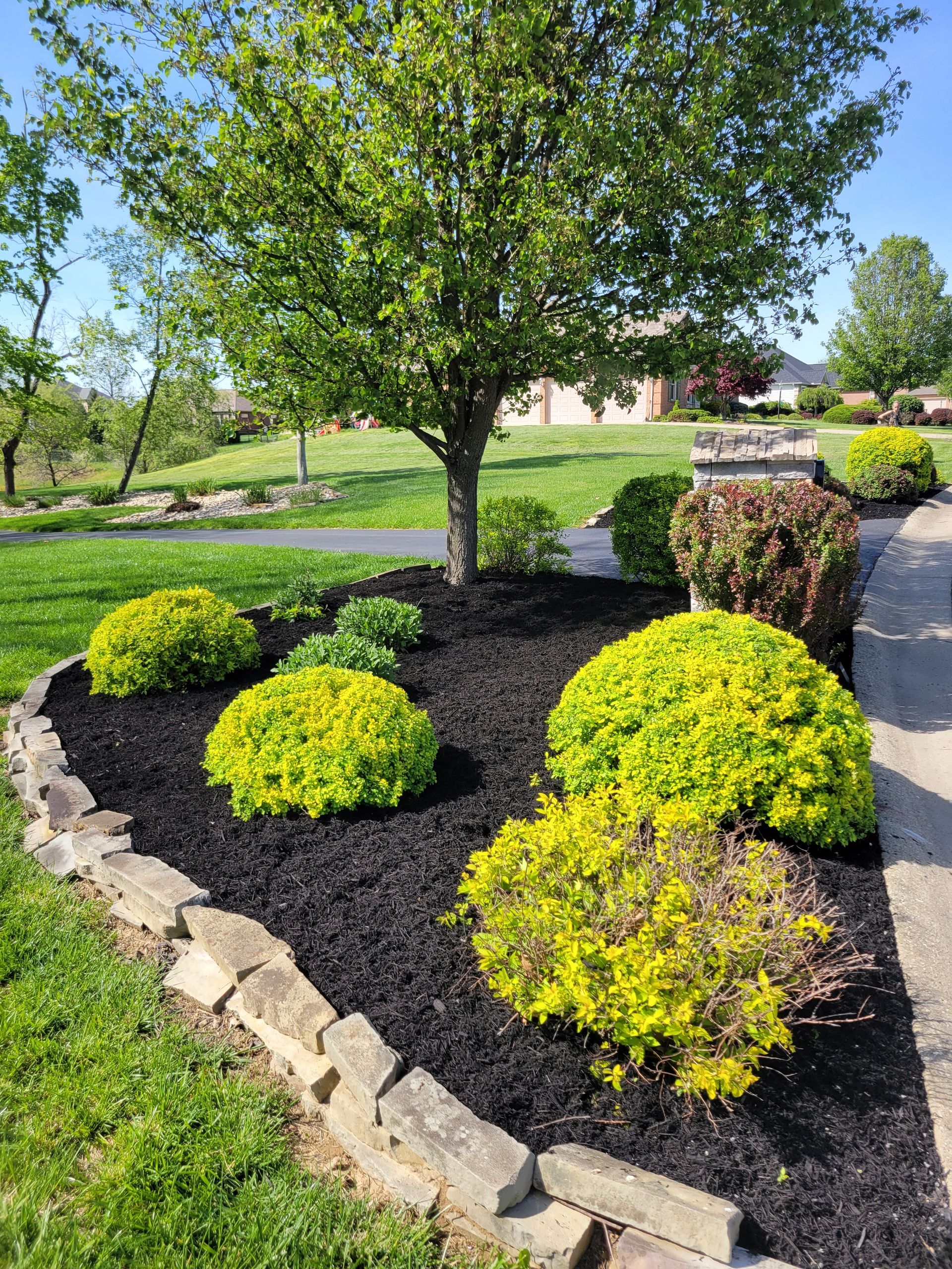 Byler Landscaping Image