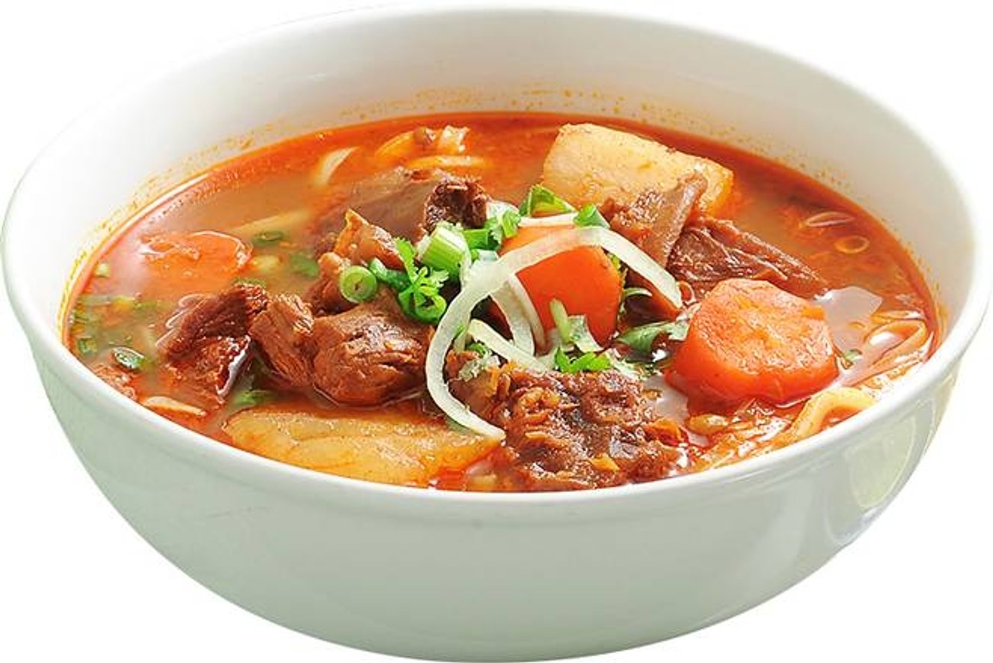 Beef Stew Noodle Soup
